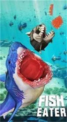 鲨鲨进化论